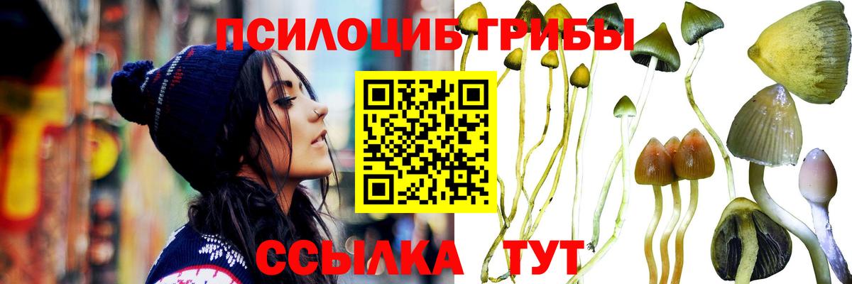 Псилоцибиновые грибы Psilocybe  закладки  Псилоцибиновые грибы Cubensis  Скопин  Вход с VPN 
